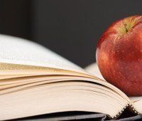 Libros de dietas, ¿fraude o realidad?