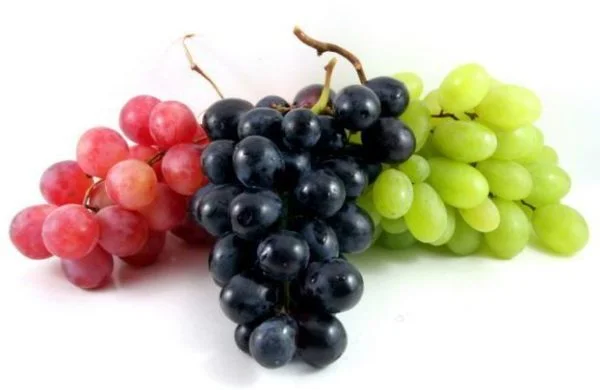 dieta de uvas