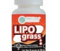 Inhibidor del apetito Lipo Grass ¿Funciona?