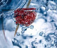 ¿Cómo adelgazar 5 kg en dos semanas?