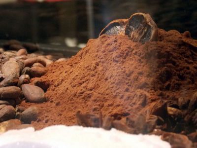 cacao-en-polvo-saludable