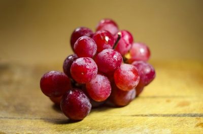 Conociendo un poco del vino y las uvas
