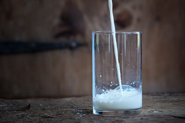 Proteínas del huevo y la leche