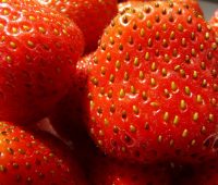 Evitar la recaida de la sobre ingesta en la obesidad para no tener factores de riesgo