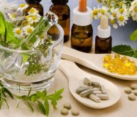 La fitoterapia, Una forma de Tratar la Obesidad