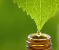 Tratamiento Homeopático para la Obesidad