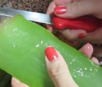6 Beneficios de la sábila para el cabello